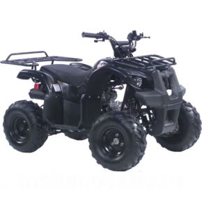 IRBIS Квадроцикл IRBIS ATV110U 110cc 4т